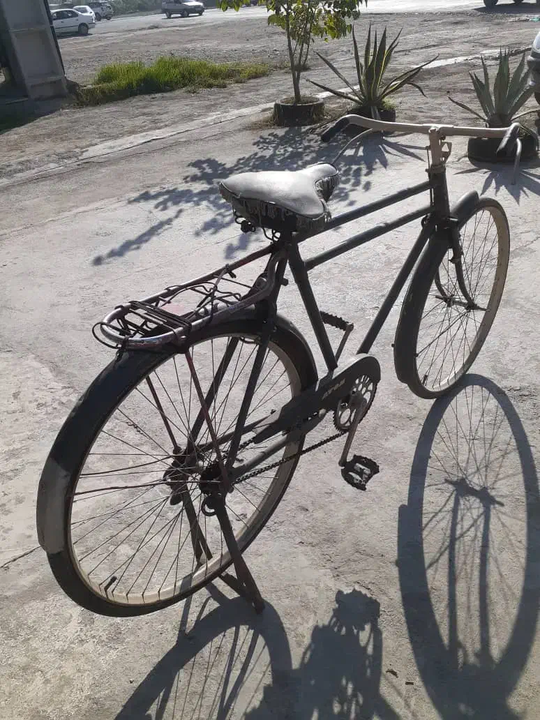 دوچرخه|دوچرخه، اسکیت، اسکوتر|بابل, |دیوار