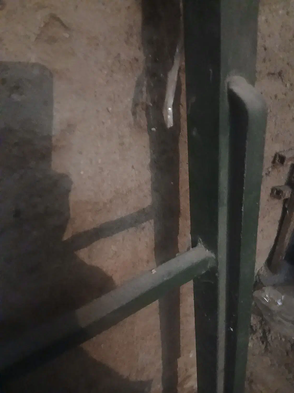 حانای عالی به همراه نخ فرش پا دری طرح ریز ماهی|فرش|اردبیل, |دیوار