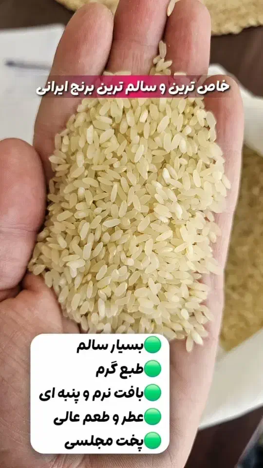 برنج کامفیروزی|خوردنی و آشامیدنی|شیراز, شریفآباد|دیوار