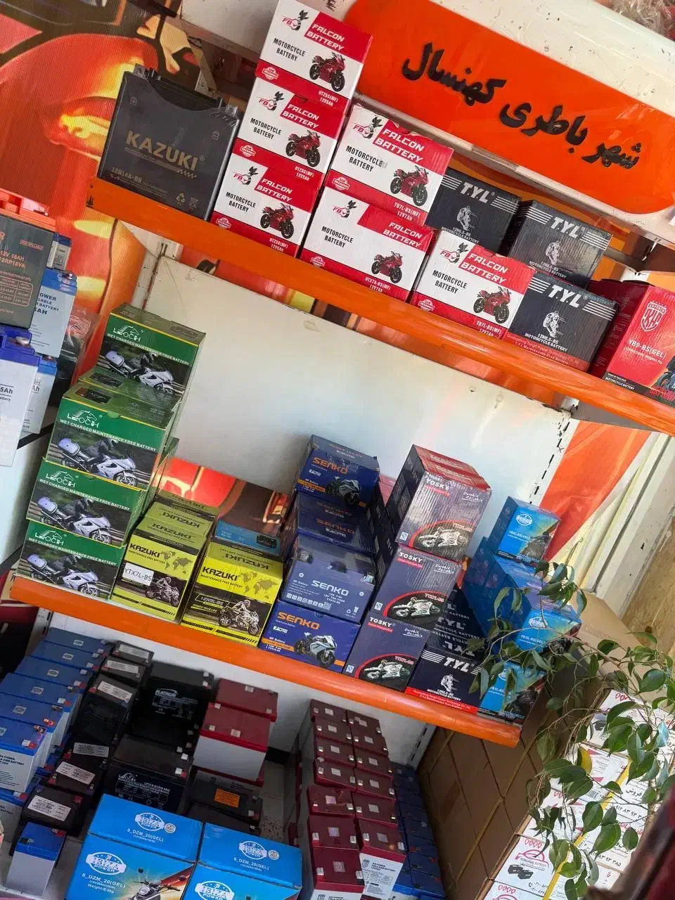 انواع  برند برند ماشین سبک و سنگین با ضمانت|قطعات یدکی و لوازم جانبی|رباط‌کریم, رباط‌کریم|دیوار