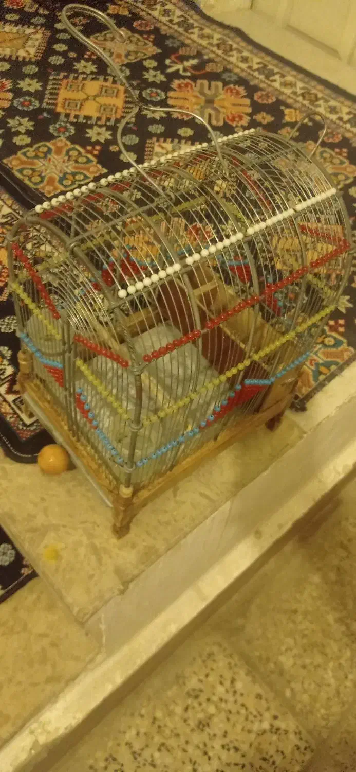 قفس شیک  تزیینی|لوازم جانبی حیوانات|بروجرد, |دیوار