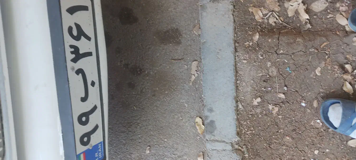 مدارکم گم کردم|اشیا|بیضا, |دیوار