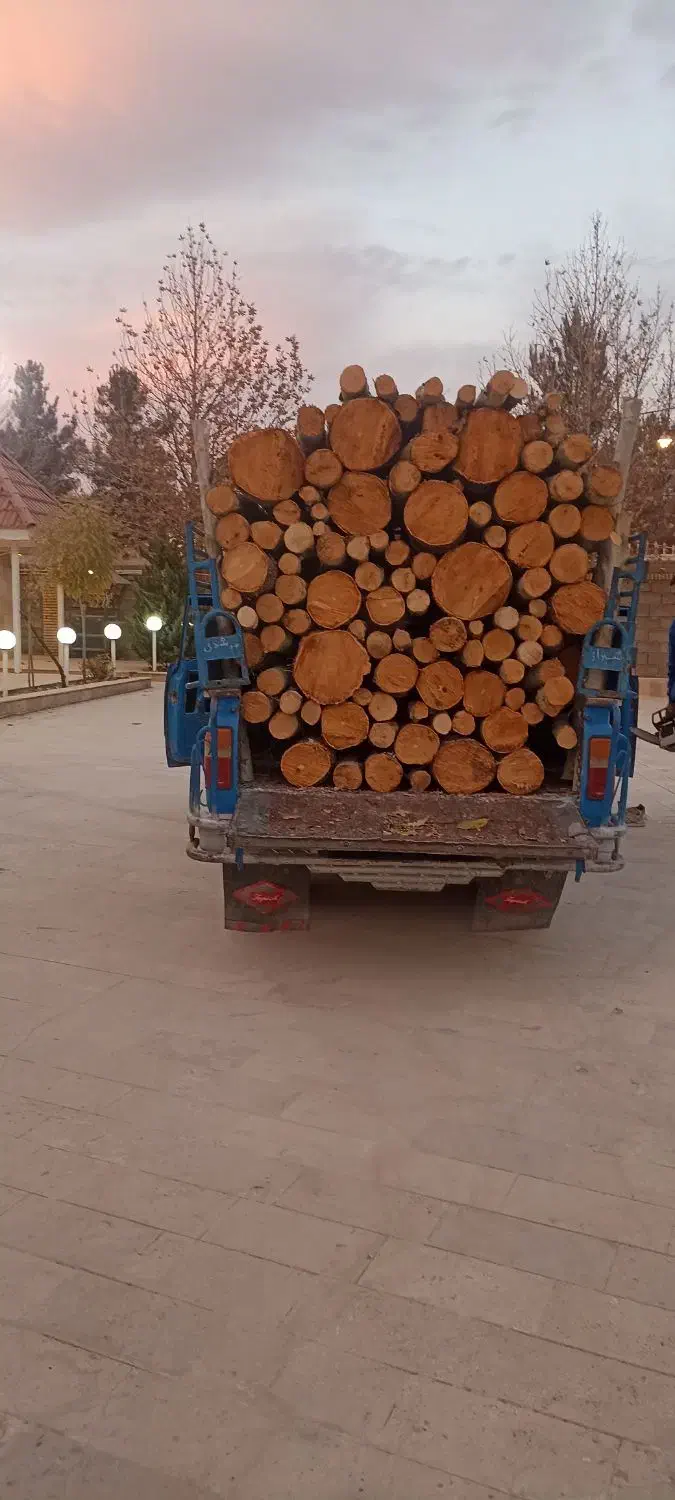 خریدارچوب ودرخت|خدمات باغبانی و درختکاری|شیراز, بریجستون|دیوار