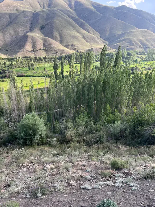 زمین کشاورزی قابل ساخت تا ۵۰ الی ۶۰ متر|فروش زمین و ملک کلنگی|بلده, |دیوار
