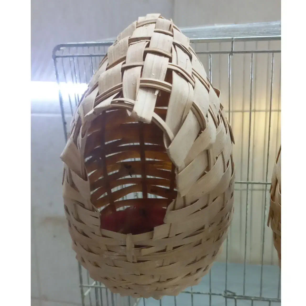 لانه فنچ حصیری|لوازم جانبی حیوانات|تهران, افسریه شمالی|دیوار