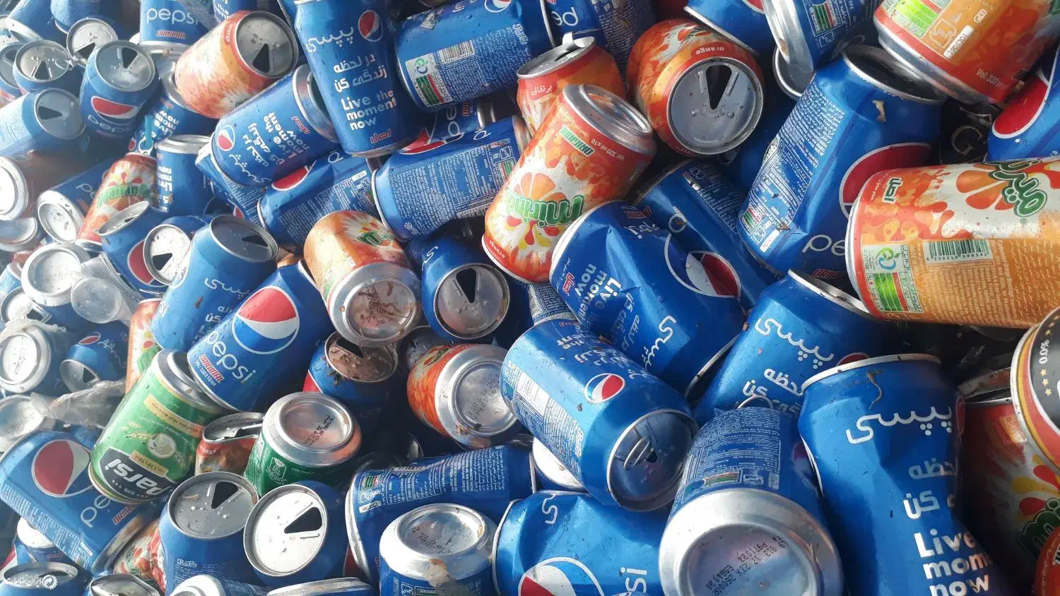 قوطی رانی|عمدهفروشی|کاشمر, |دیوار