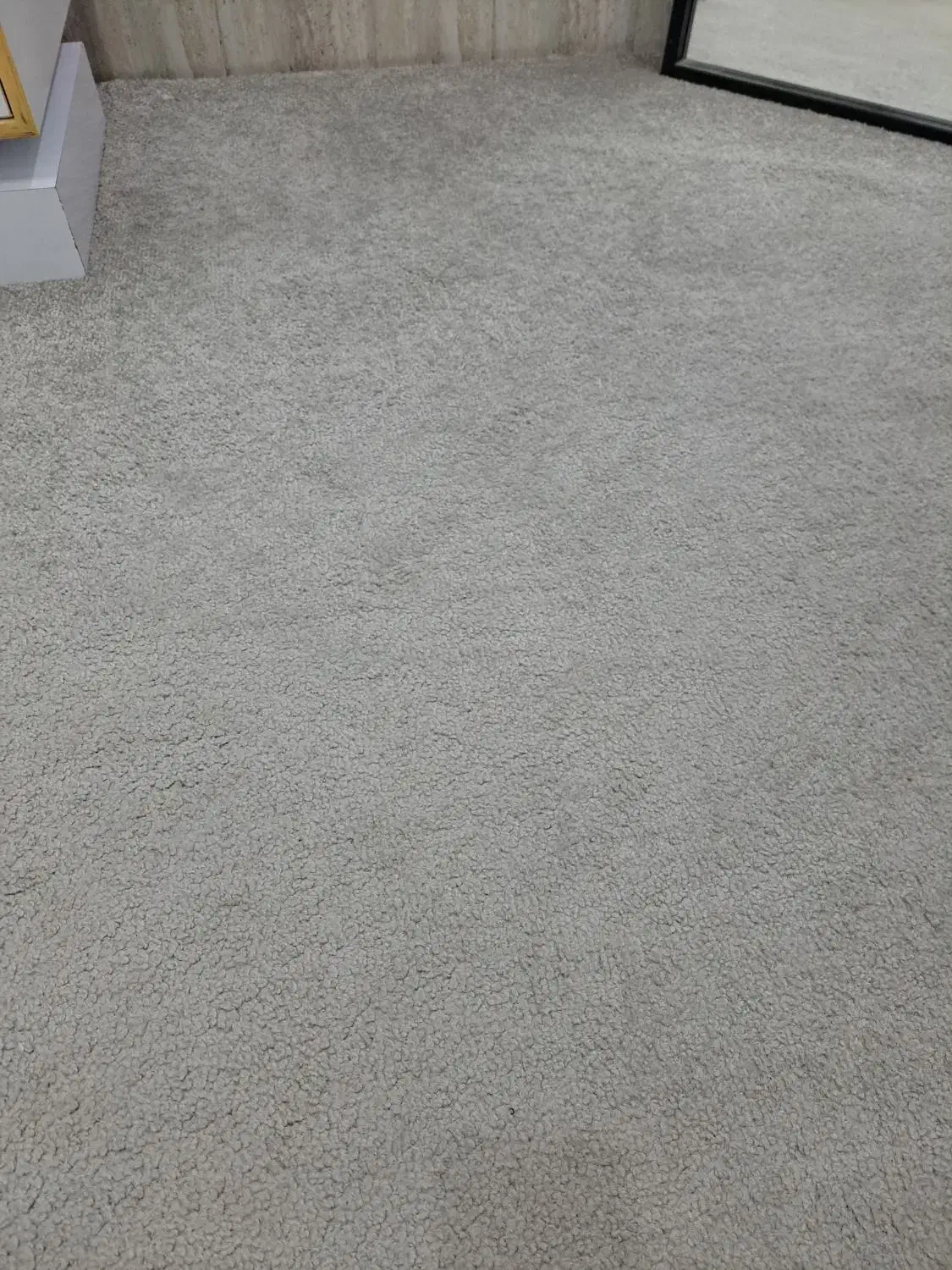 پالاز موکت درحد نو ۳۰ متر قیمت ۱۰میلیون|موکت|بندر دیر, |دیوار