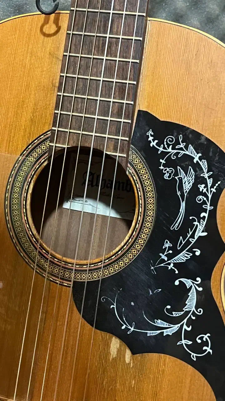 فروش گیتار الحمبرا|گیتار، بیس، امپلیفایر|ساری, |دیوار