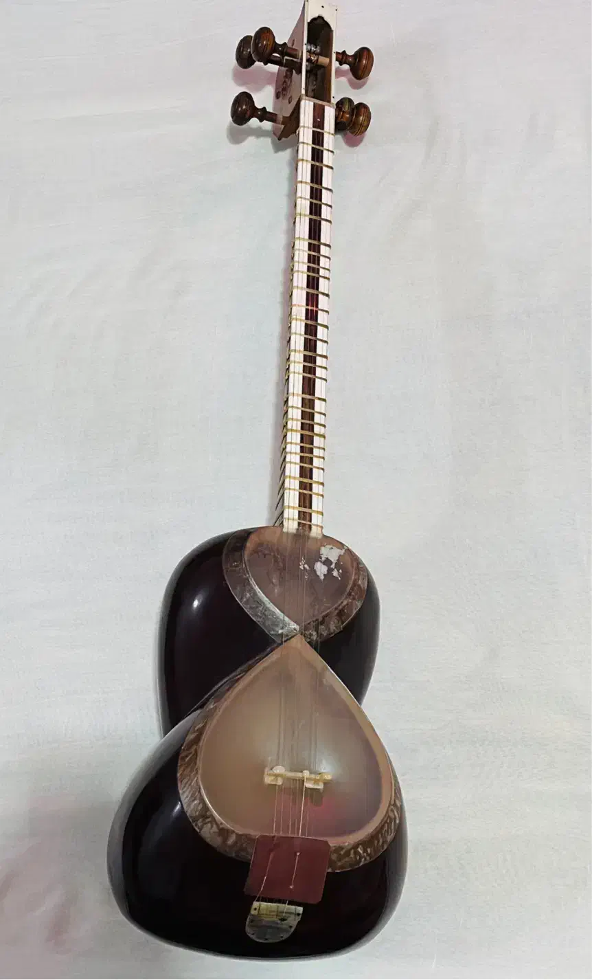 تار هادی حصارکی|سازهای سنتی|اهواز, زیتون کارمندی|دیوار