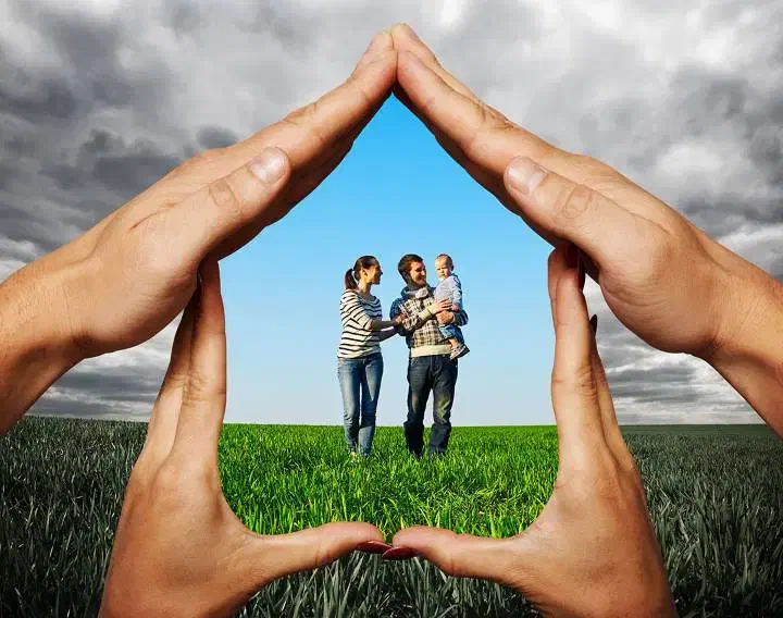 همایش بیمه در کسب و کار|گردهمایی و همایش|تهران, دارآباد|دیوار