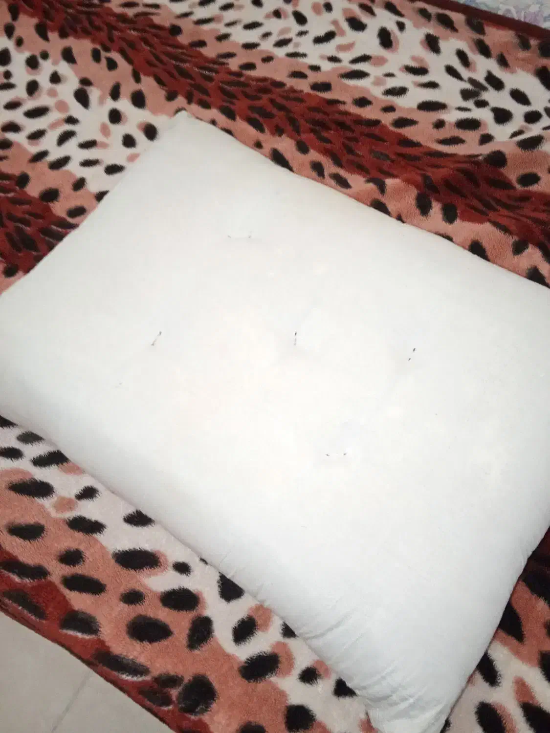 پشتی با الیاف نانو و جلد پشتی سلطنتی|پشتی|بندرعباس, |دیوار