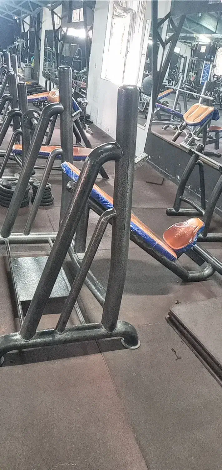 دستگاه سینه وپا|تجهیزات ورزشی|فریمان, |دیوار