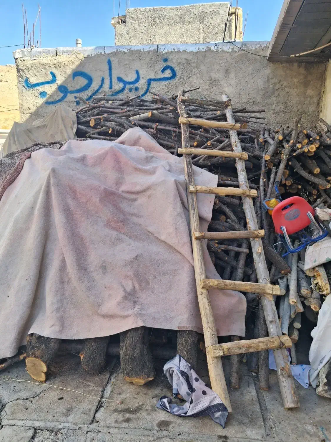 فروش چوب بادام بید وسفیدار ضایعات ونجاری|خدمات باغبانی و درختکاری|همایجان, |دیوار