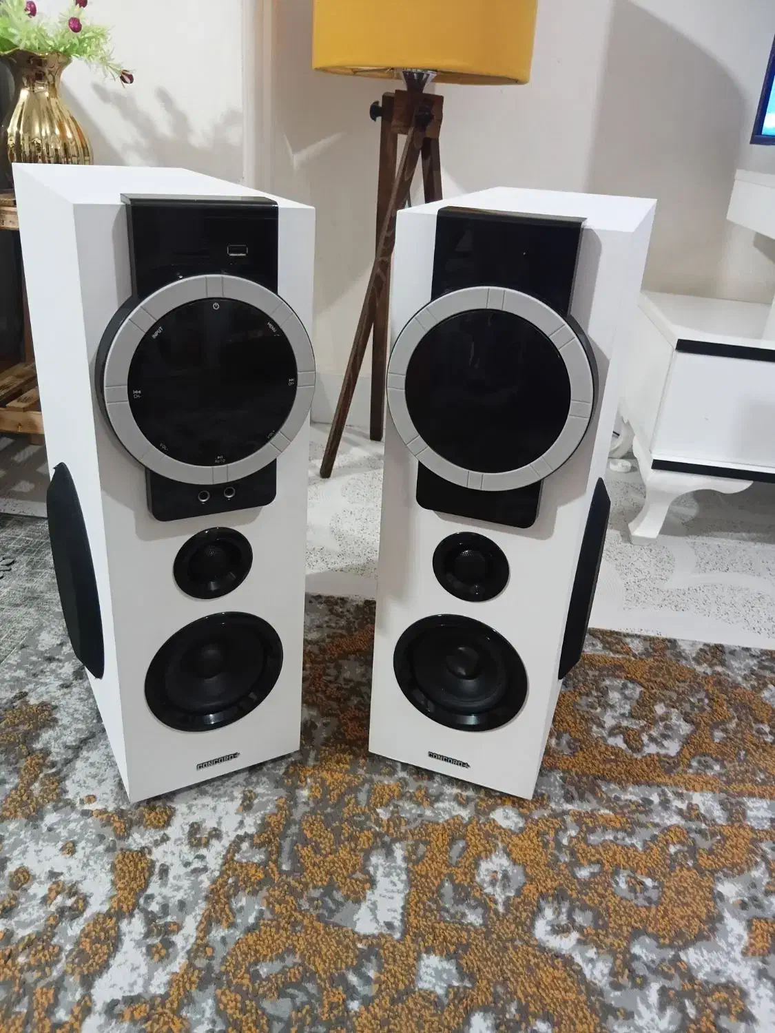 اسپیکر کنکورد پلاس در حد صفر|سیستم صوتی خانگی|گرگان, |دیوار