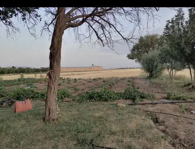 زمین کشاورزی و باغ|فروش دفتر صنعتی، کشاورزی، تجاری|کبودرآهنگ, |دیوار