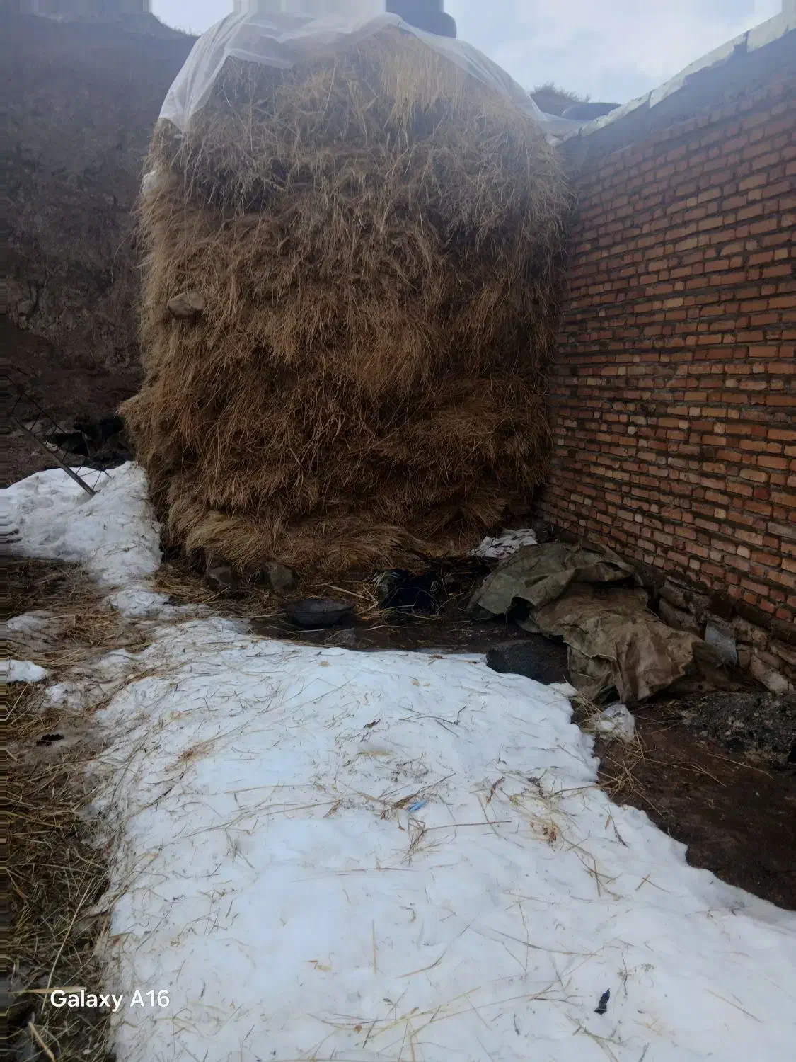 کاه و یونجه|لوازم جانبی حیوانات|خواجه, |دیوار