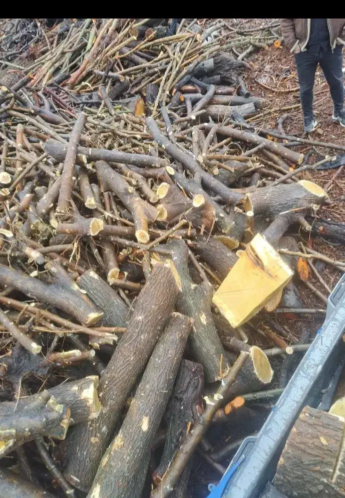 خرید و فروش انواع چوب|خدمات باغبانی و درختکاری|کوهدشت, |دیوار