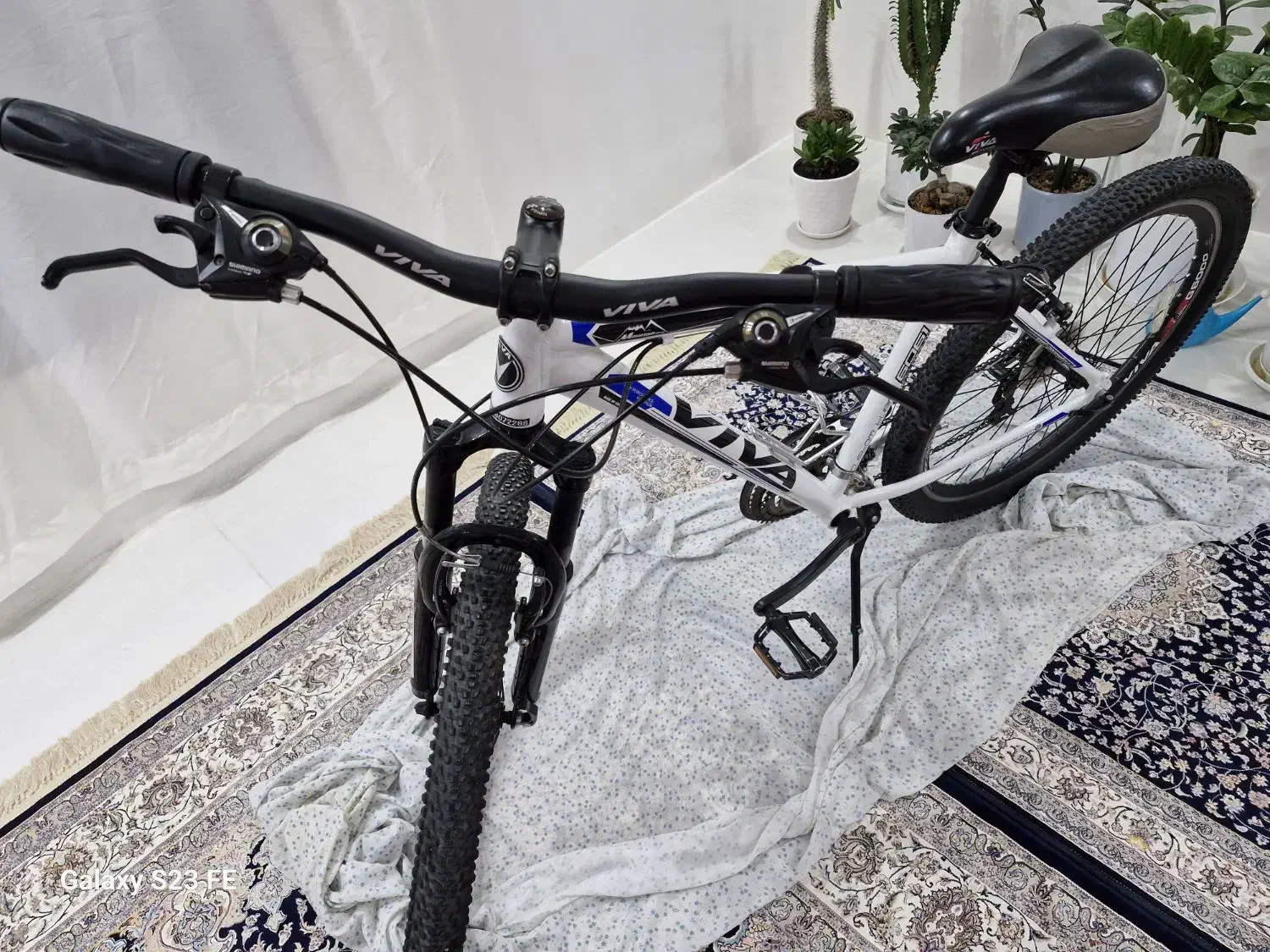 دوچرخه|دوچرخه، اسکیت، اسکوتر|مشهد, بلال|دیوار