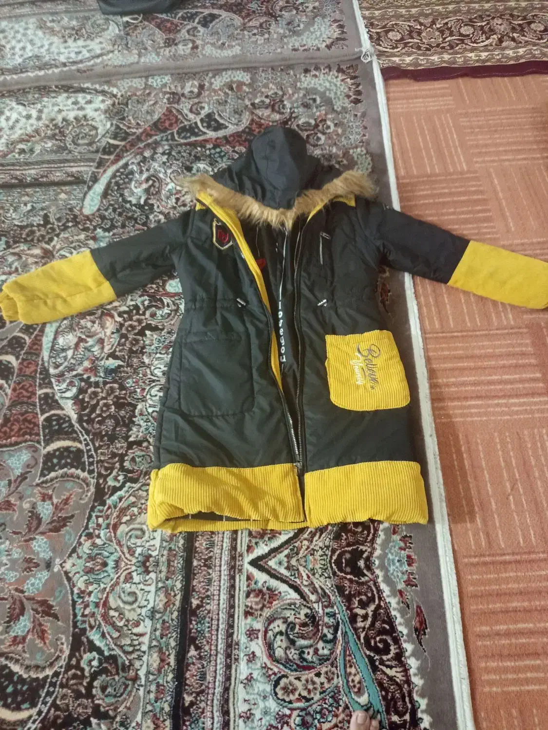 پالتو نو|لباس|گالیکش, |دیوار