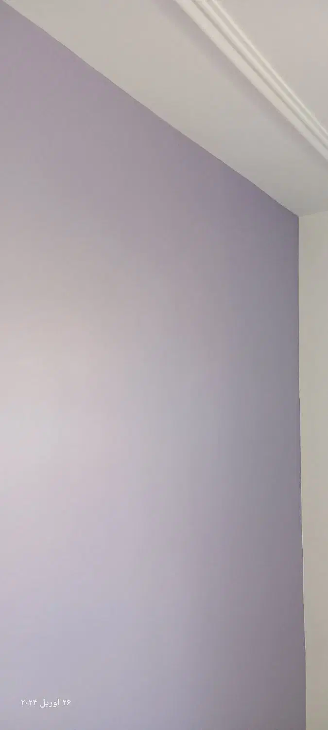 نقاشی ساختمان رنگین کمان|خدمات پیشه و مهارت|بجنورد, |دیوار