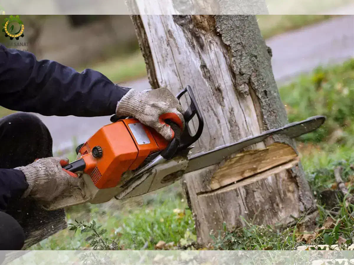 خریدار چوب|خدمات باغبانی و درختکاری|گلپایگان, |دیوار