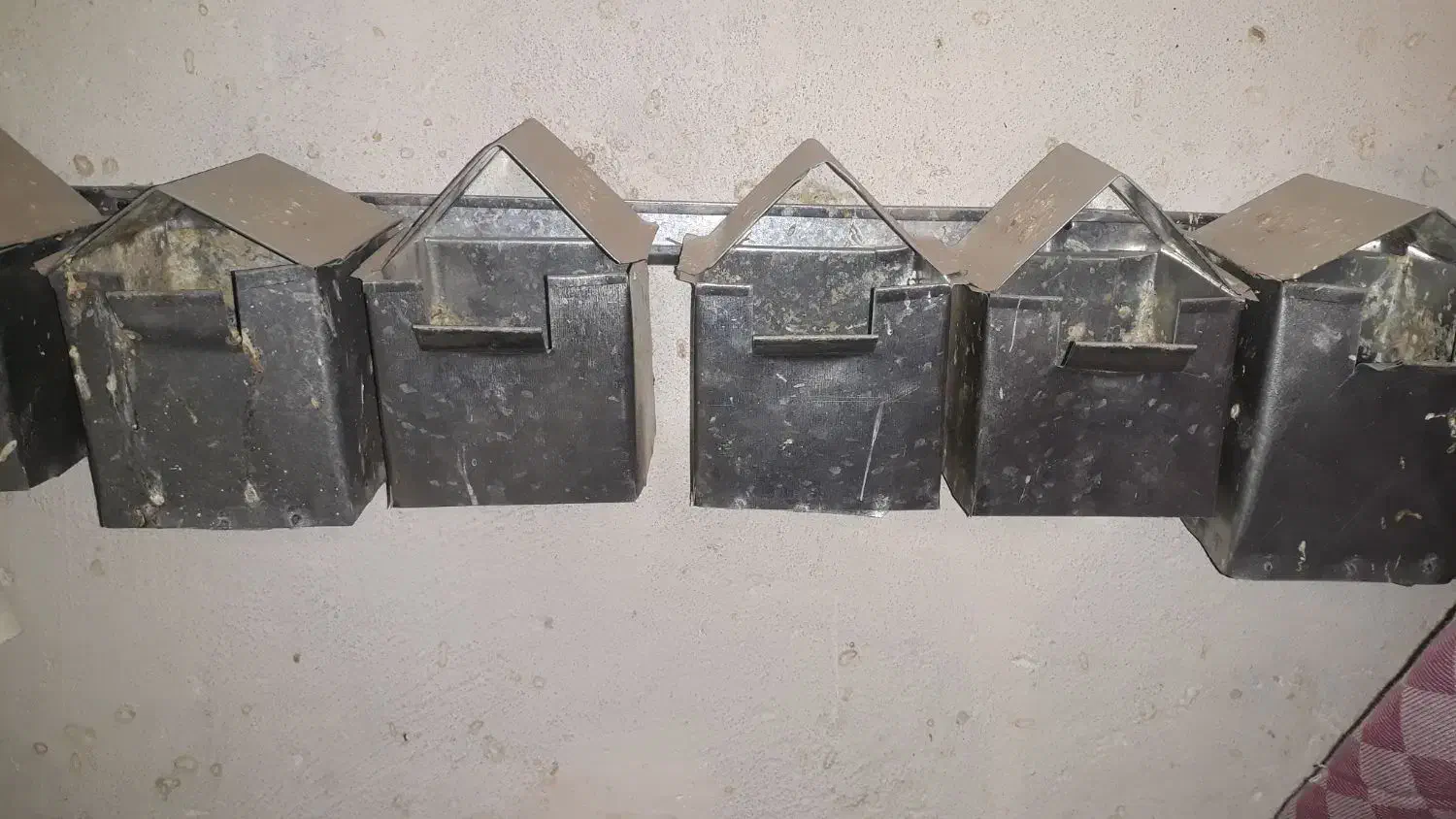 لونه فنچ|لوازم جانبی حیوانات|نیشابور, کوی حسینی|دیوار