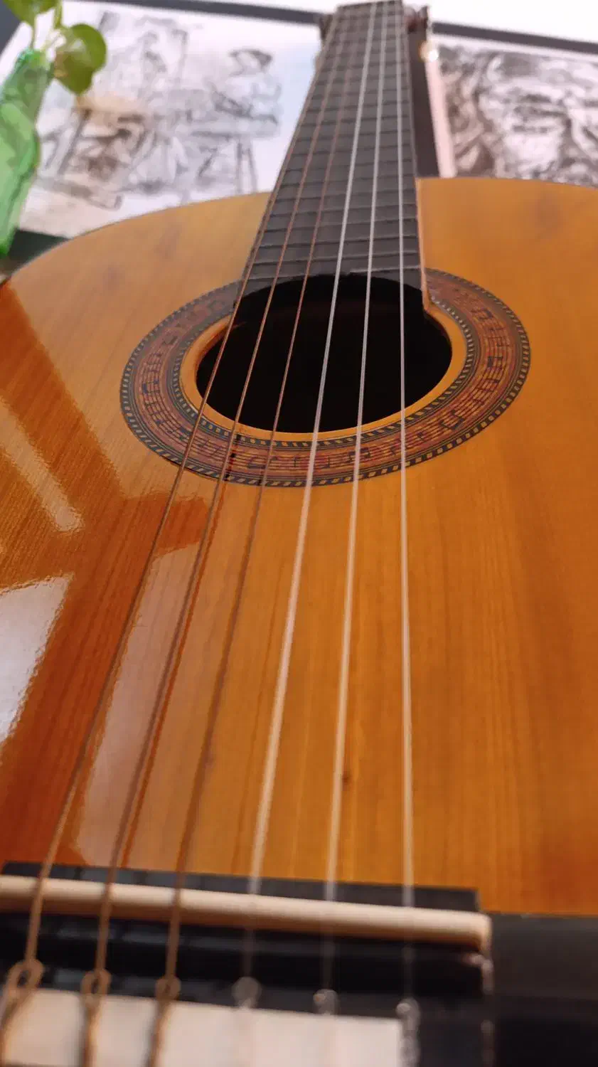 ساز گیتار|گیتار، بیس، امپلیفایر|اصفهان, شیخ طوسی|دیوار