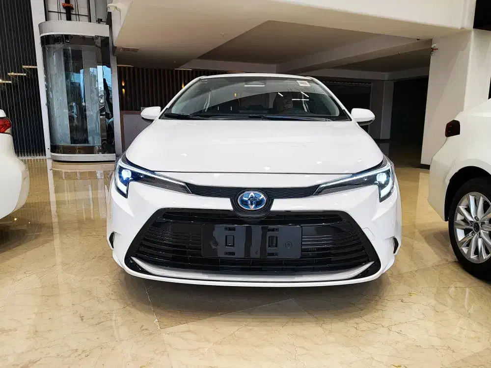 واردات وصادرات ترخیص حمل ونقل|خدمات حمل و نقل|تهران, تجریش|دیوار