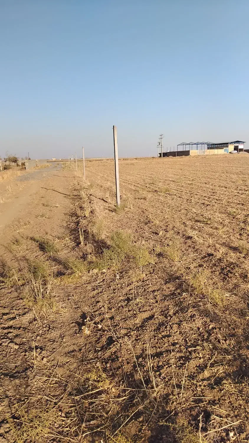 زمین فروشی|فروش زمین و ملک کلنگی|ساروق, |دیوار