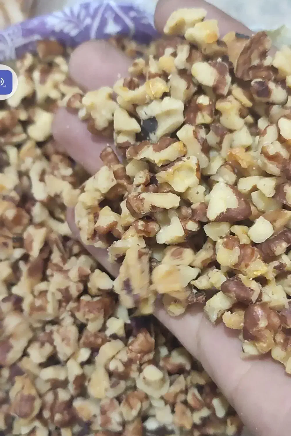 مغز گردو دندانه بلغار پارساله|خوردنی و آشامیدنی|موچش, |دیوار