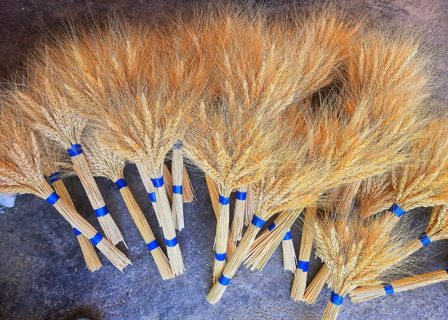 خوشه گندم|صنایع دستی و سایر لوازم تزئینی|امامزاده عبدالله, |دیوار