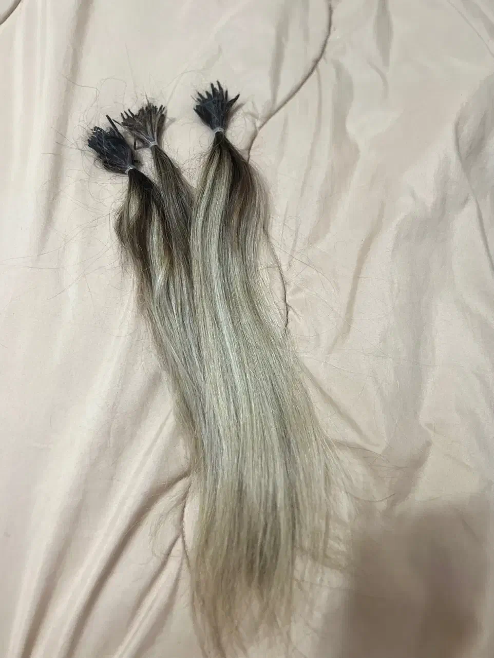 موی طبیعی|آرایشگاه و سالن‌های زیبایی|رشت, شهرک آیت الله منتظری|دیوار