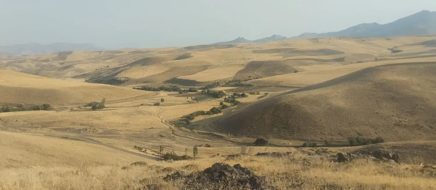 کاه|لوازم جانبی حیوانات|حسین آباد, |دیوار