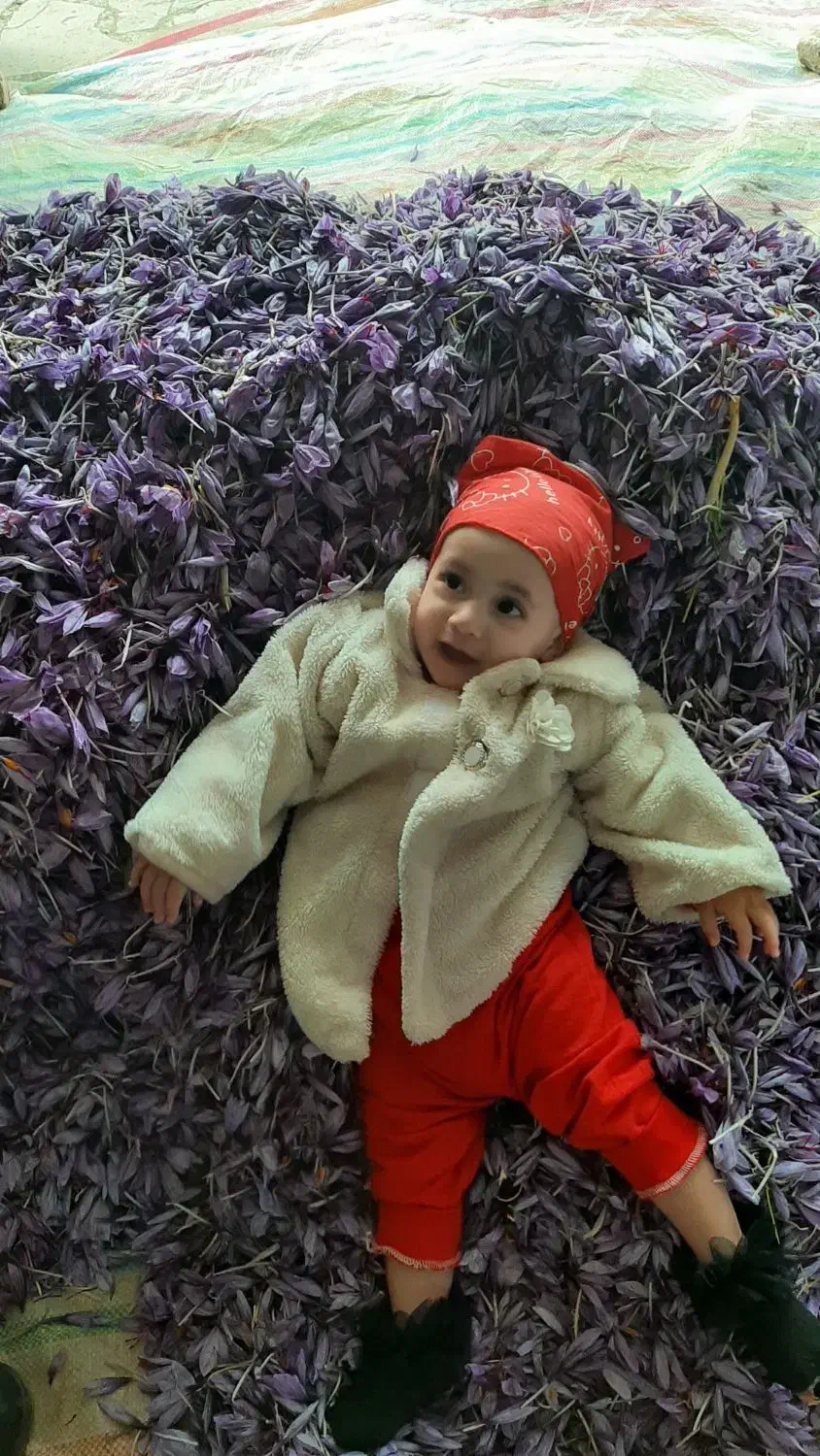 فروش زعفران نگین پوشال|حراج|زاوه, |دیوار