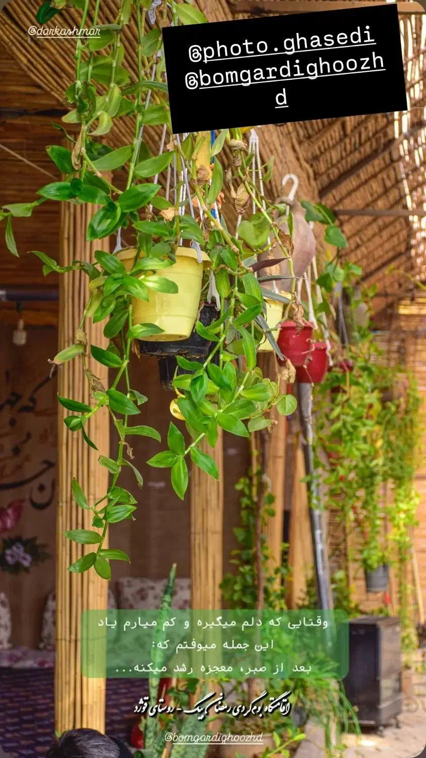 اقامتگاه بومگردی|خدمات پذیرایی، مراسم|کاشمر, |دیوار