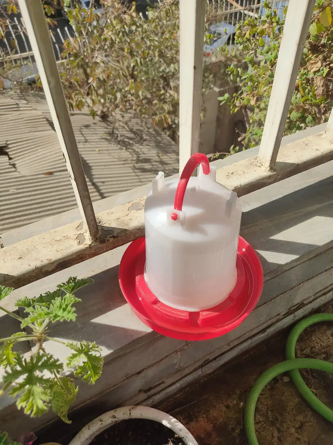 آبخوری و دونخوری بزرگ|حیوانات مزرعه|تهران, پاسداران|دیوار