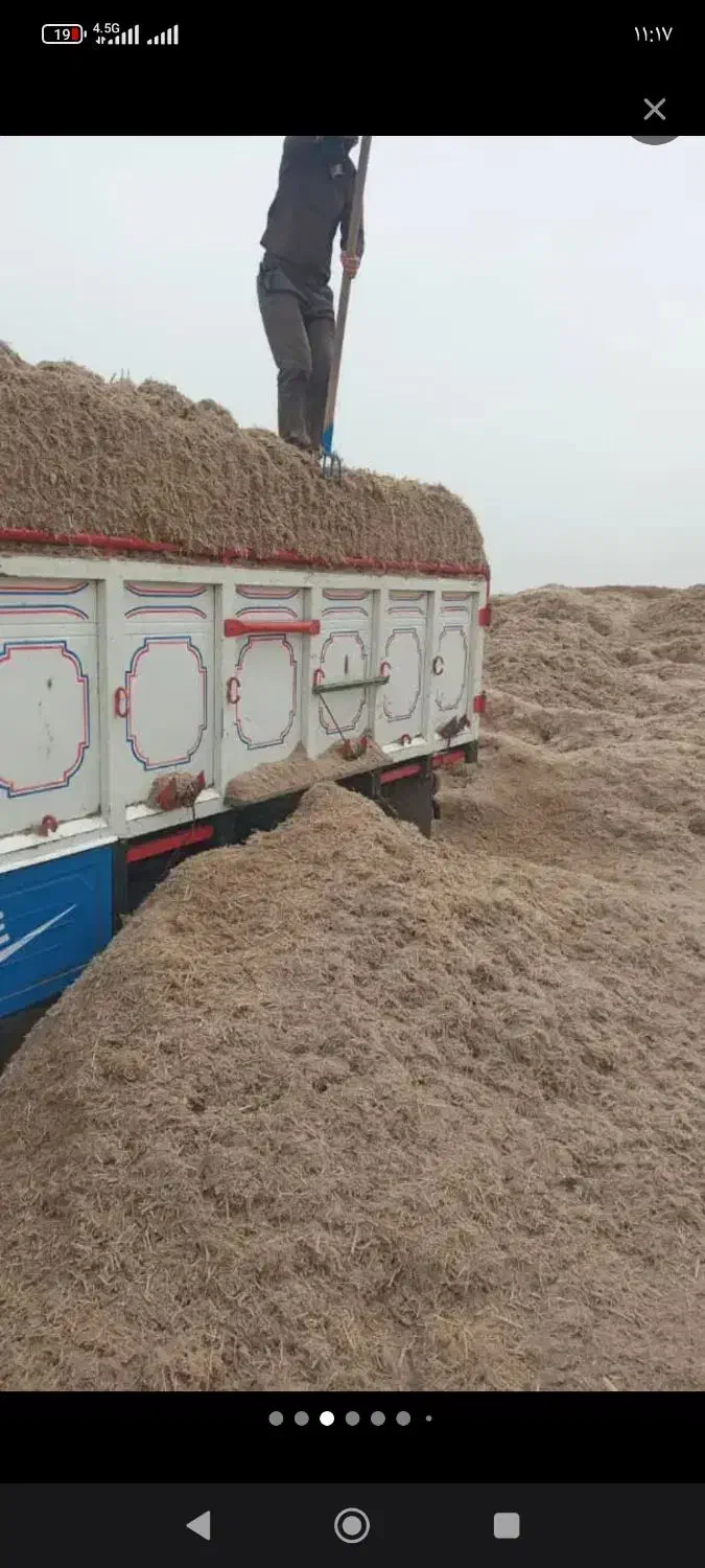 کاه نیشکر|لوازم جانبی حیوانات|ری, سیزده آبان|دیوار