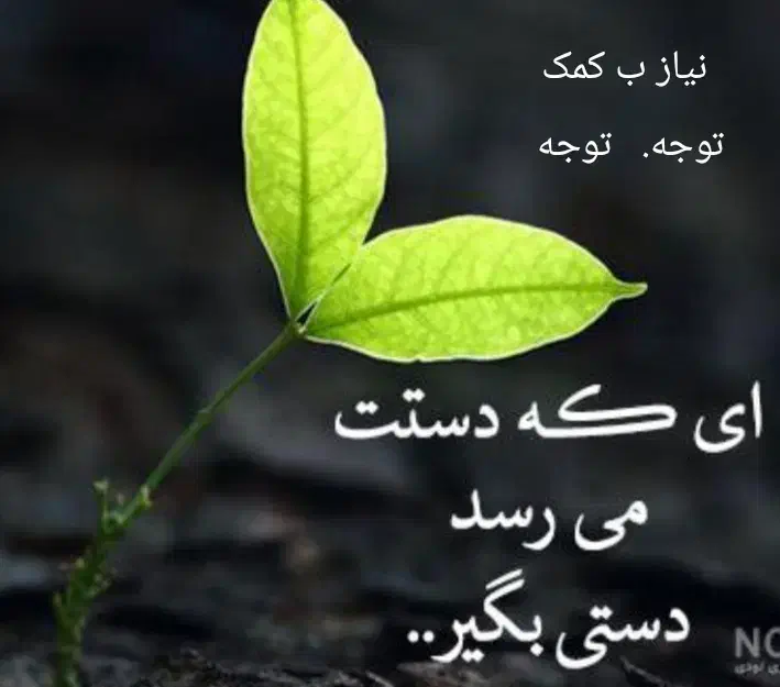 فروش تیکه زمین از مهر|فعالیت داوطلبانه|تهران, شهرک غرب|دیوار