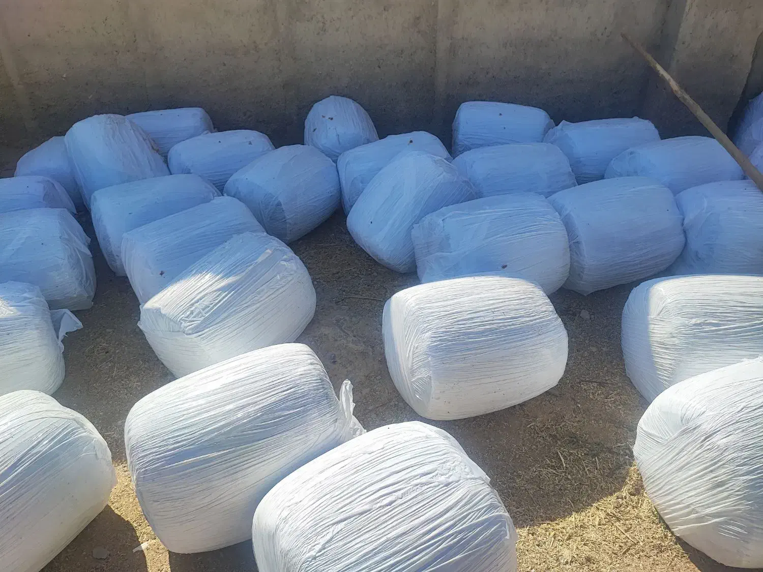 فروش تفاله تر چغندر بسته بندی وفله عمده وخورده|حیوانات مزرعه|اقلید, |دیوار