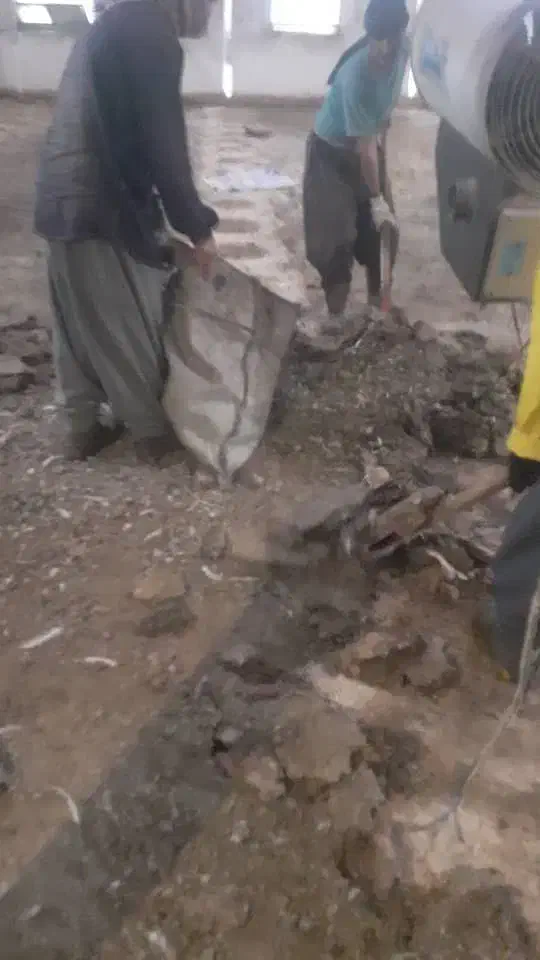 کود مرغی گوشتی|خدمات باغبانی و درختکاری|شهر بابک, |دیوار