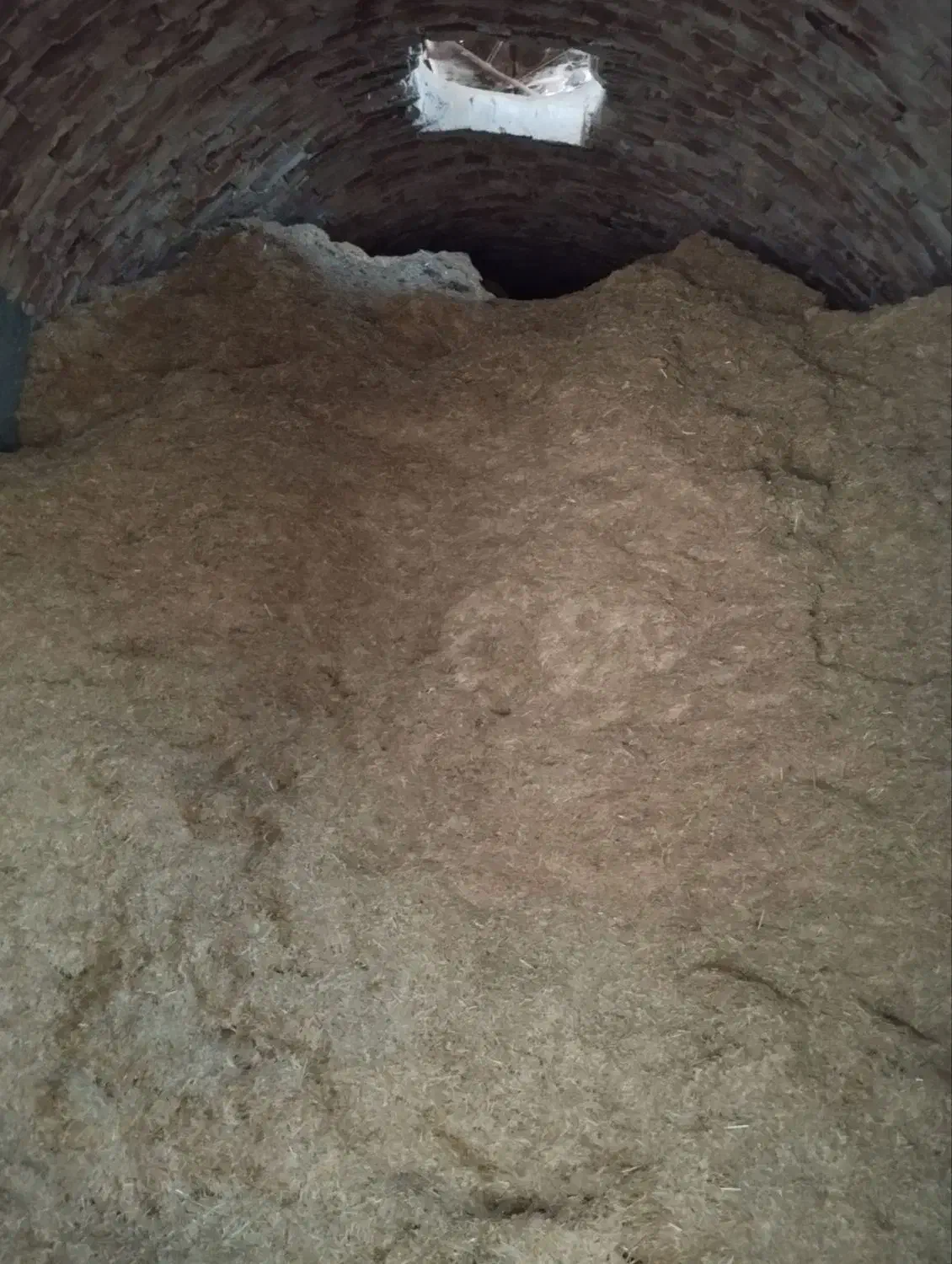 کاه و گندم|عمده‌فروشی|مود, |دیوار