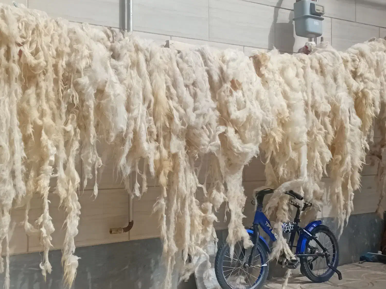 پشم شسته|رختخواب، بالش، پتو|خوی, |دیوار