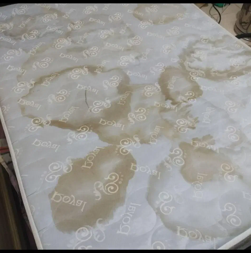 مبل شویی تخصصی کلاسیک با تخیف پائیزه|خدمات نظافت|کلارآباد, |دیوار