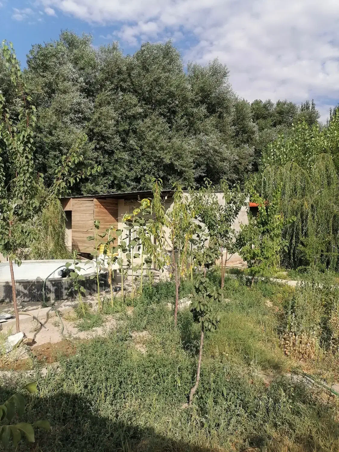 مشارکت در ساخت ویلا|مشارکت در ساخت املاک|بستان آباد, |دیوار