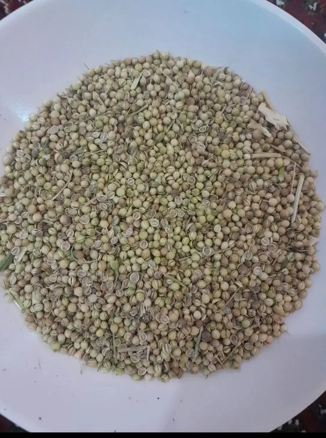 گشنیز درجه ۱   صحنه|عمده‌فروشی|کرمانشاه, |دیوار