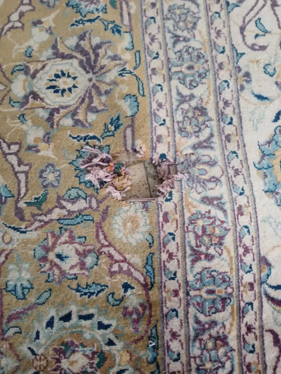 فرش دستباف|فرش|قرق, |دیوار