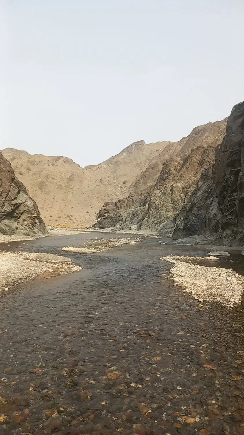 زمین مسکونی|فروش زمین و ملک کلنگی|رودان, |دیوار