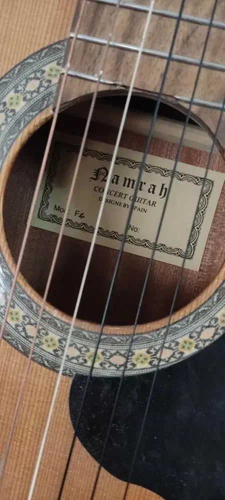 amrah4F دست دو(پیکاپ کات‌اوی هاردکیس)در حد نو|گیتار، بیس، امپلیفایر|تهران, شکوفه|دیوار