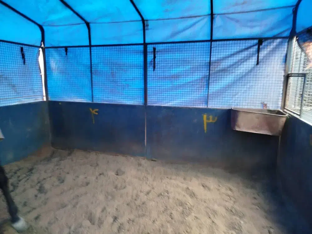 باکس سیار اسب|اسب و تجهیزات اسبسواری|تهران, آشتیانی|دیوار