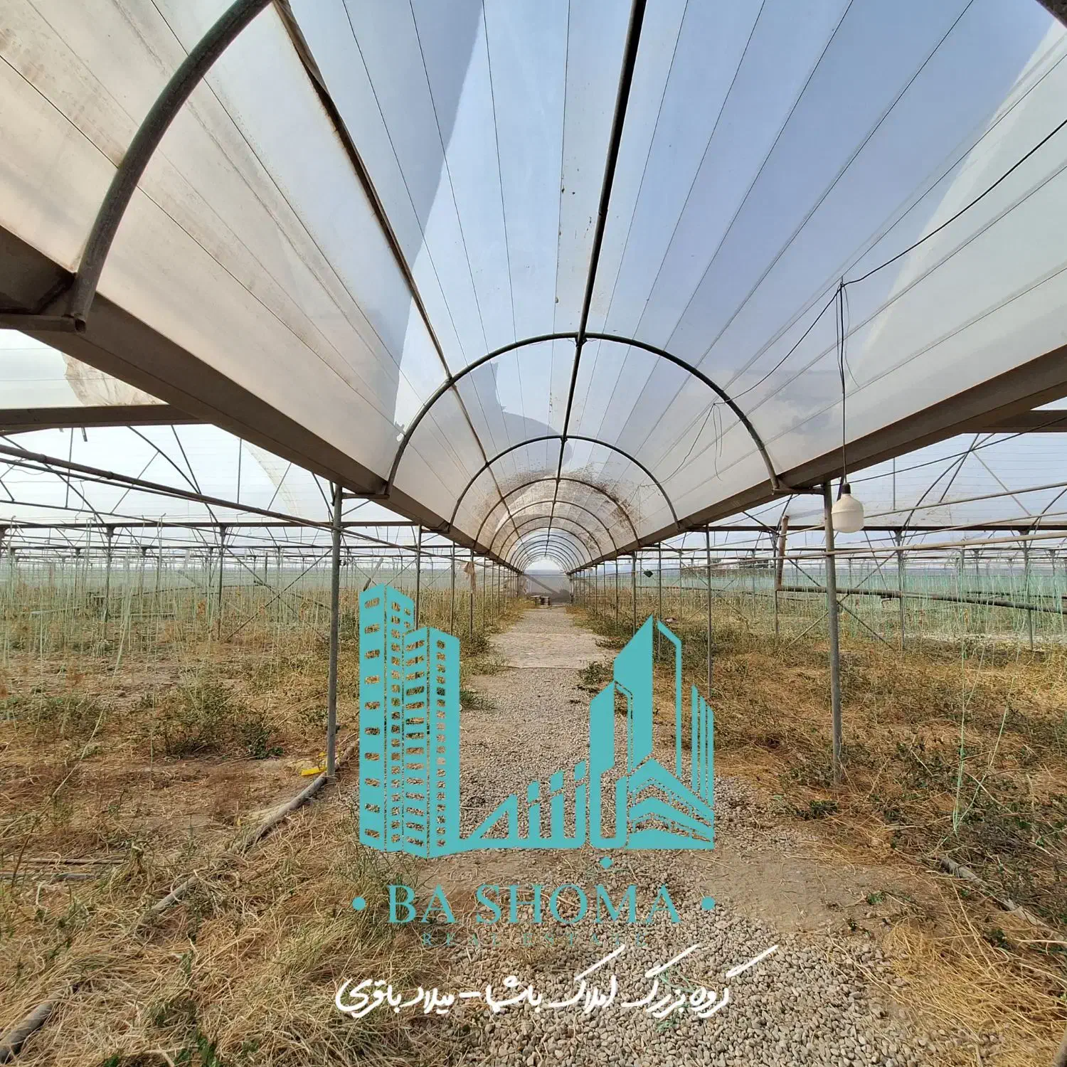 ۹ هزار متر گلخانه/سند تک برگ/ فرصت خوب|فروش دفتر صنعتی، کشاورزی، تجاری|قرچک, پارس سرام|دیوار